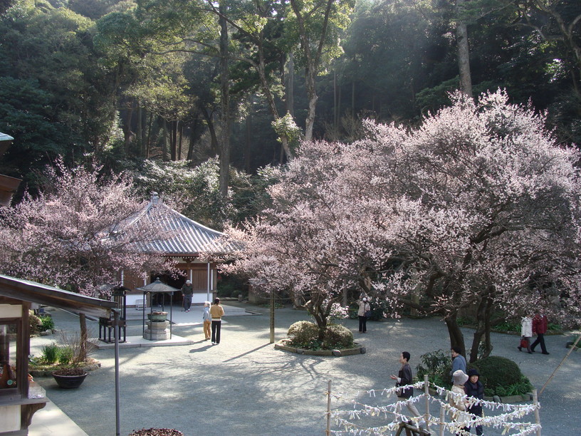 鎮国寺2