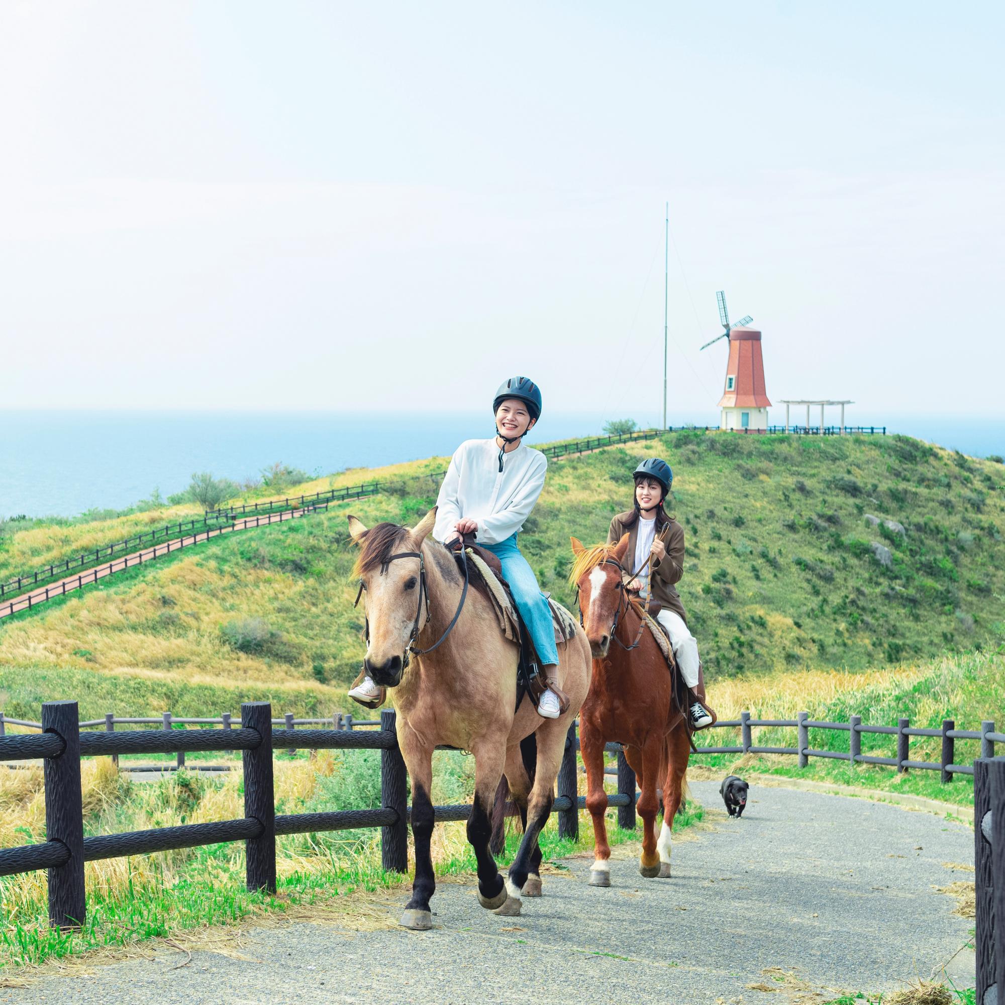 大島乗馬