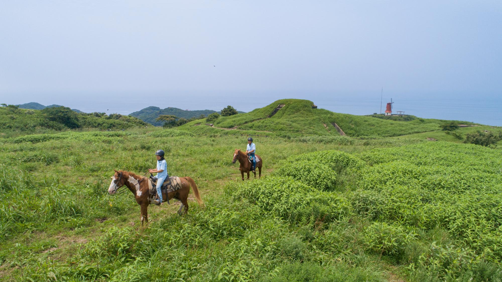 乗馬