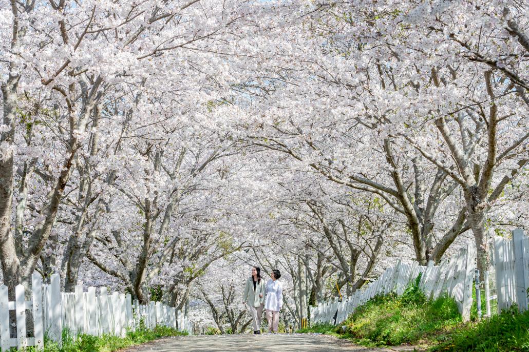 の画像