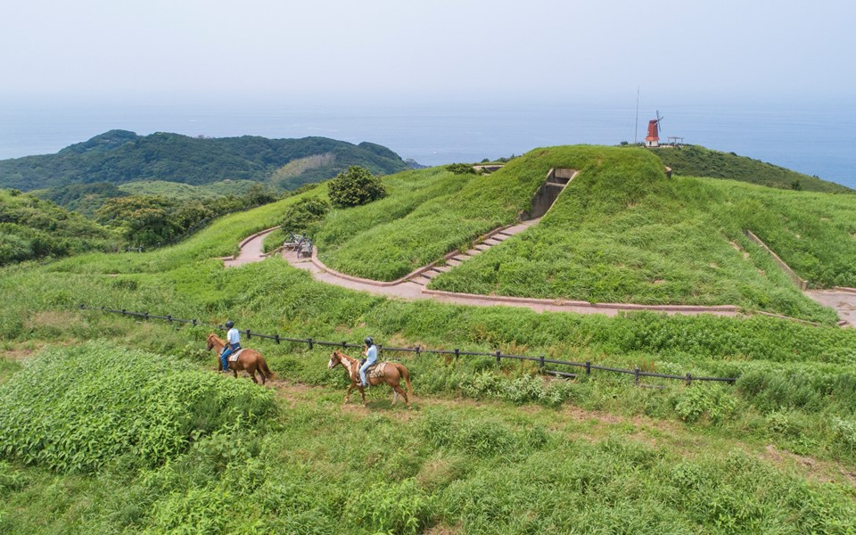 乗馬魅力