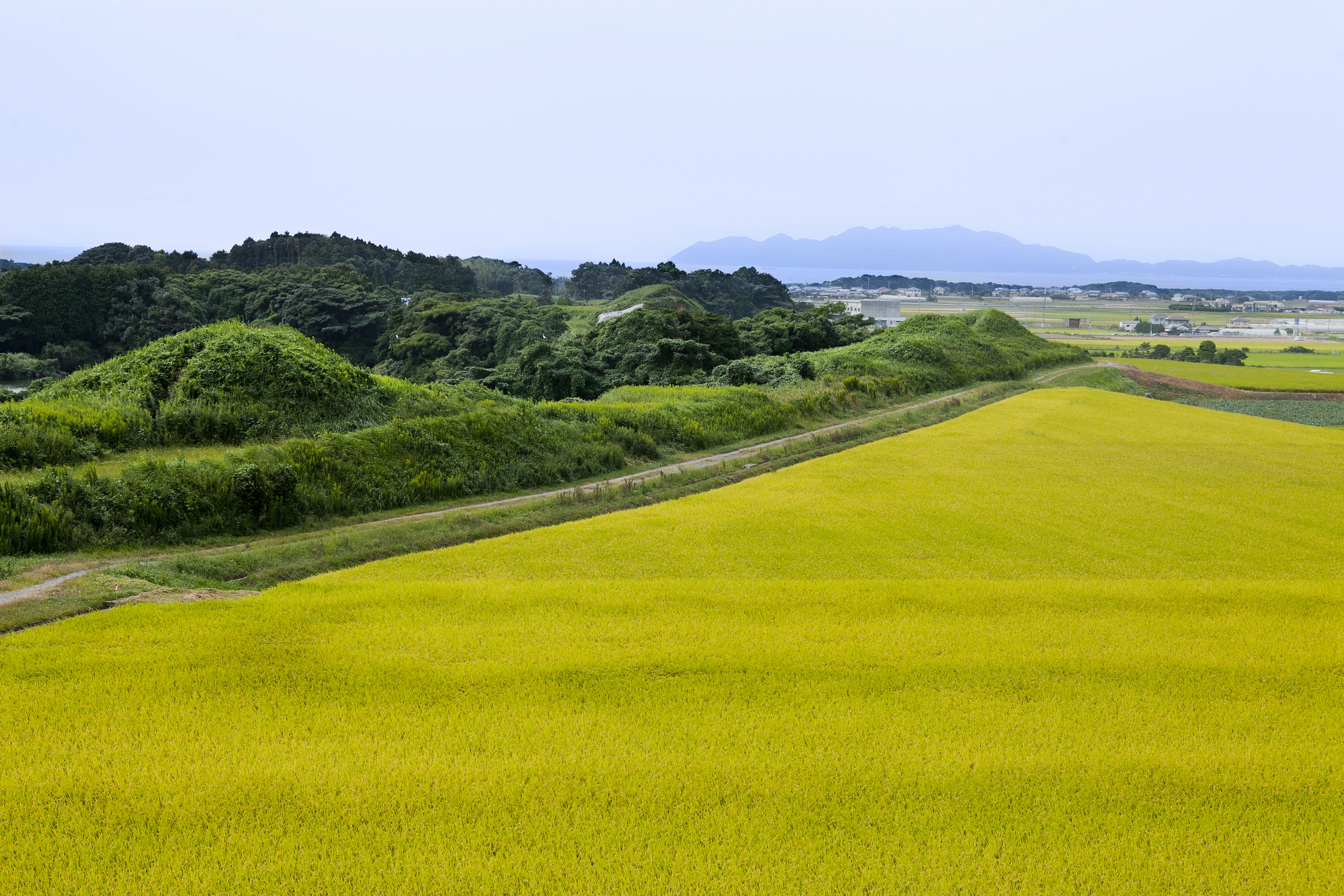 新原・奴山古墳群