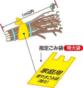 ポイント