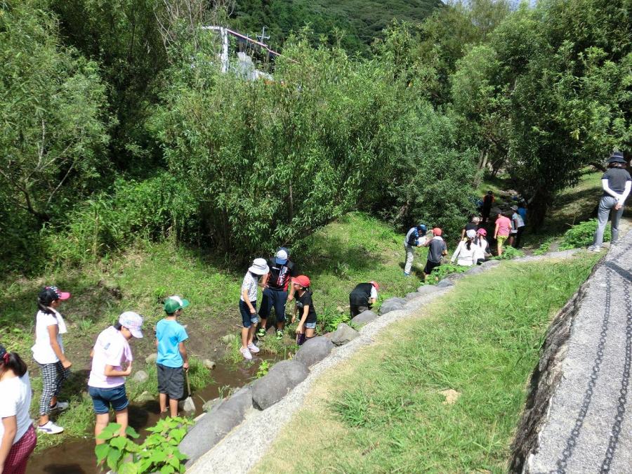 山田のホタルの里公園での