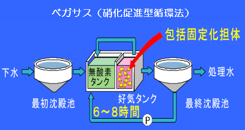 硝化促進型循環法