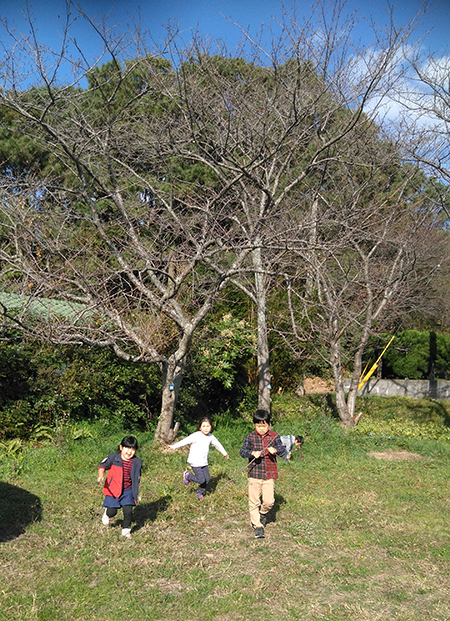 近年見られなくなった異年齢集団で自由に遊ぶ姿が見られました