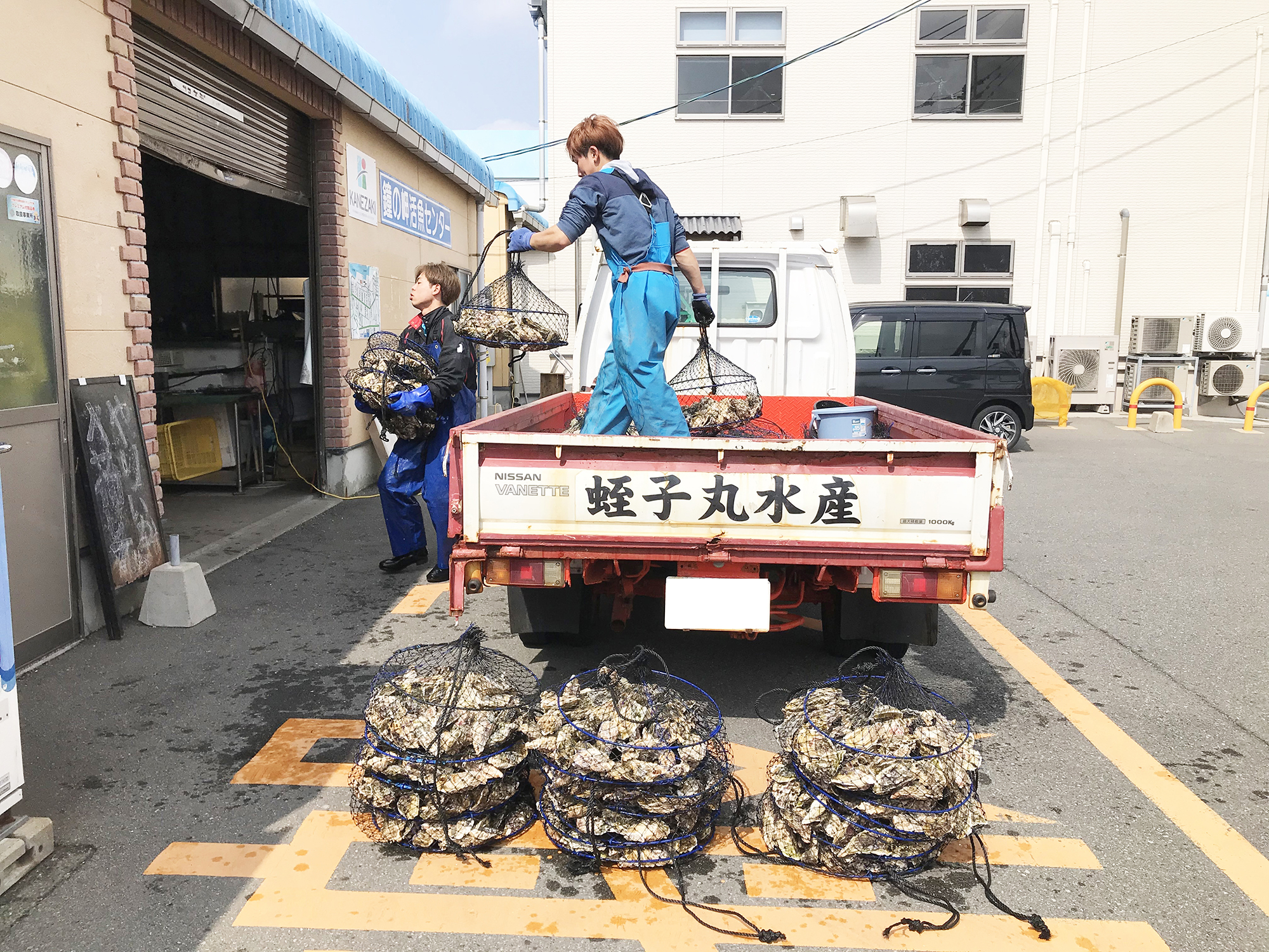 ちょうどカキが運ばれてきました