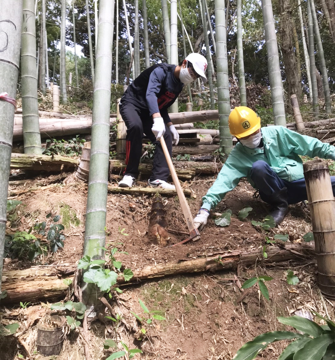 急斜面で会員の方に指導されながら真剣にクワを打ち込みます