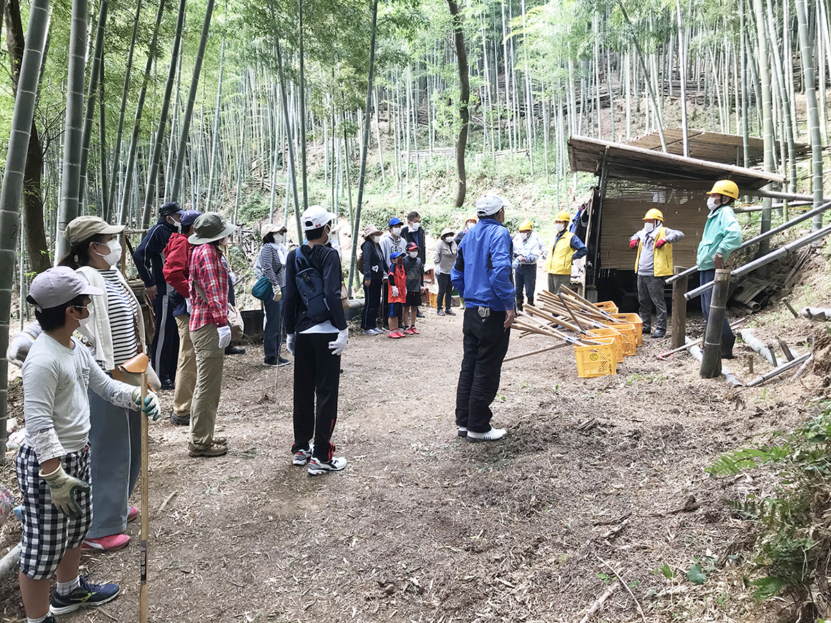 整備された竹林が広がっていました。竹の葉が揺れる音が心地よい！