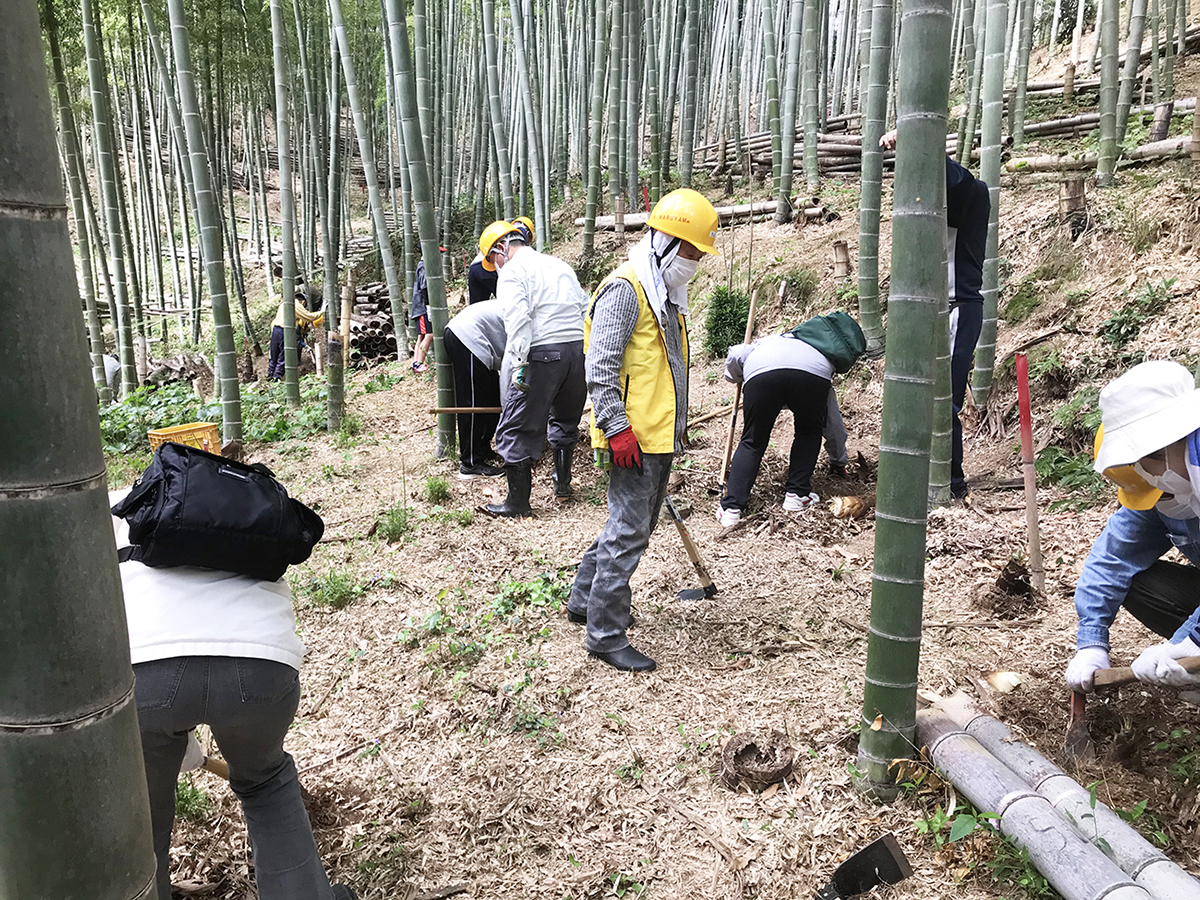 会員の皆さんに掘り方を教わります