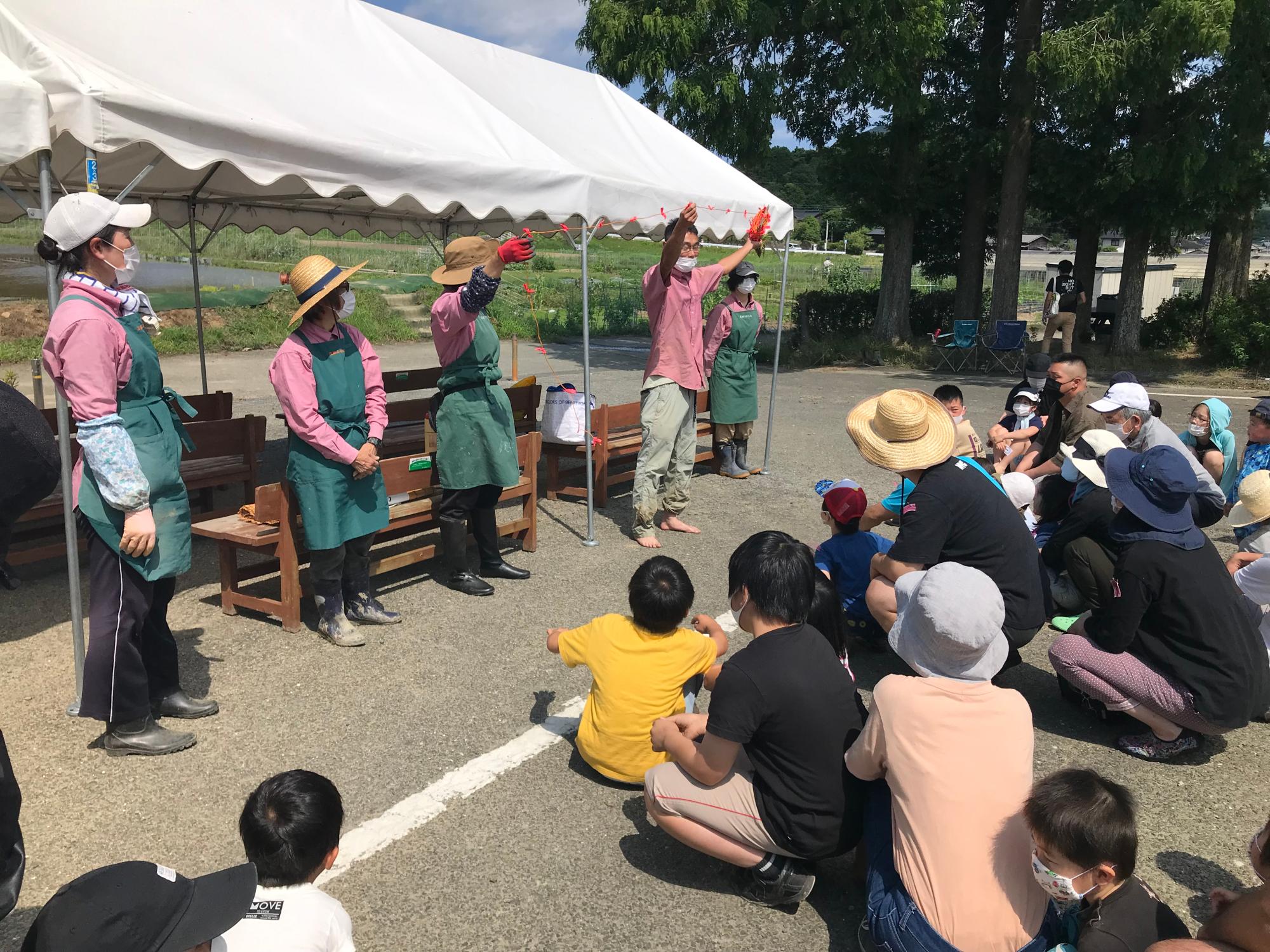 田植えの仕方、コツを教わります