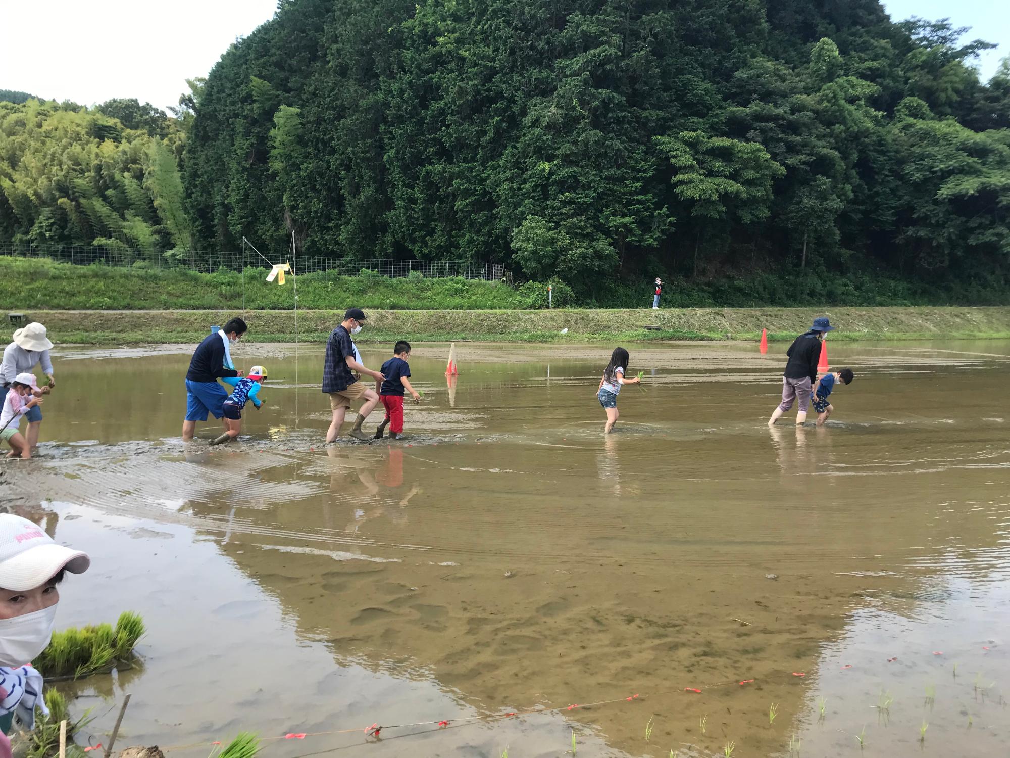 所々から「うわぁ」「ぬるぬるするー」と声が上がります