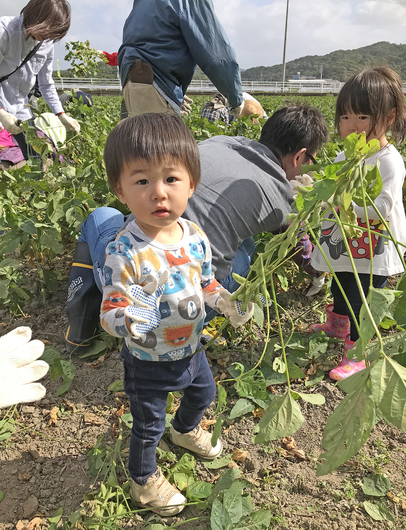 枝豆運びを手伝ってくれた当時1歳の末っ子もう4歳に。今年こそは参加したい！