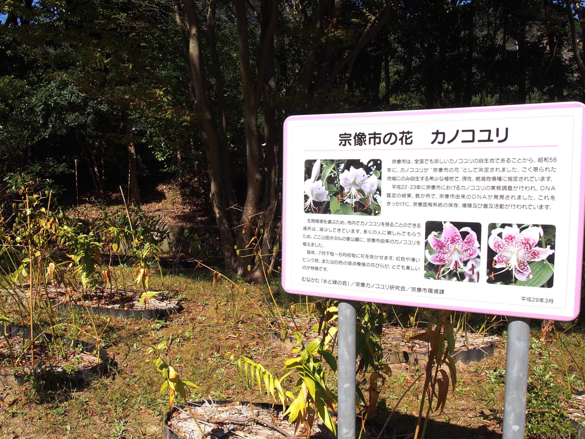 山田ホタルの里公園の看板