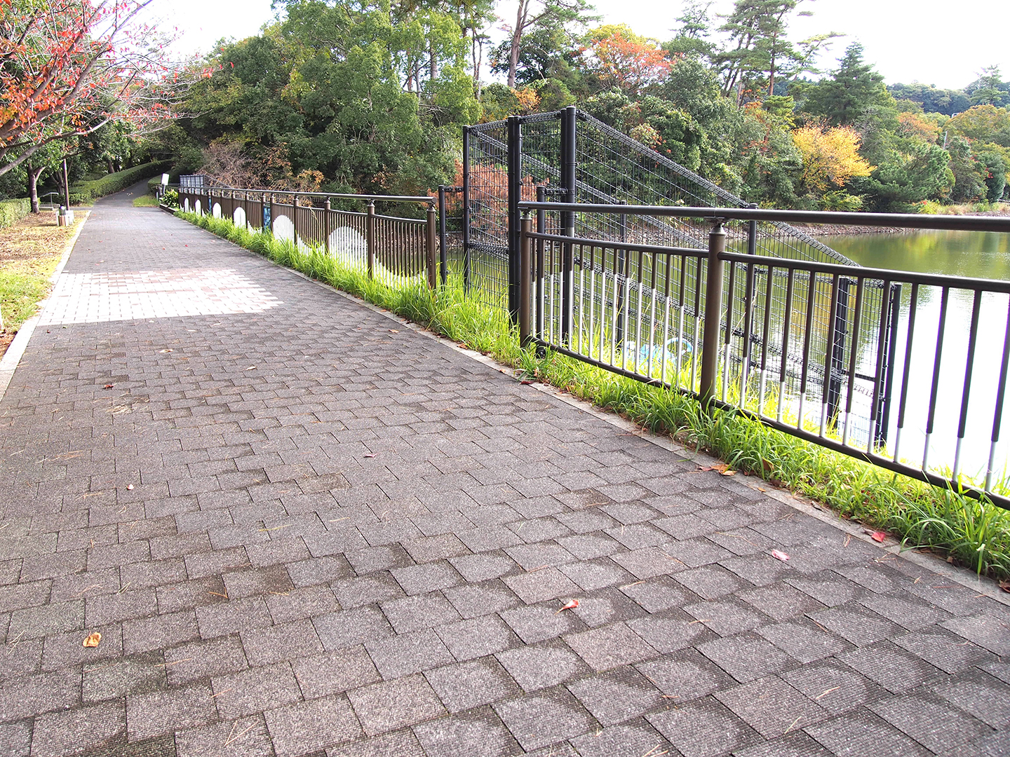 整備された遊歩道