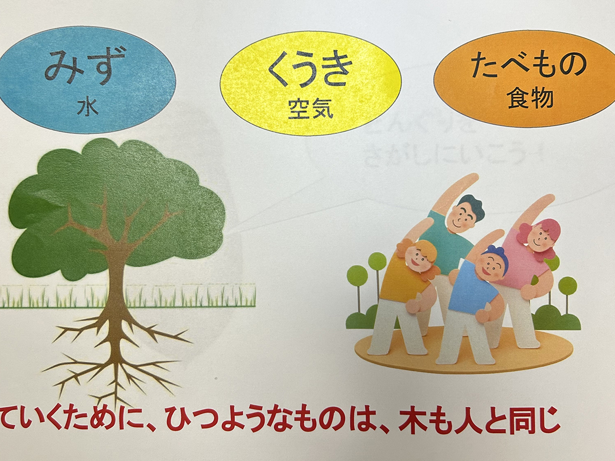 人も木も、生きていくためには「水・空気・食物」が必要