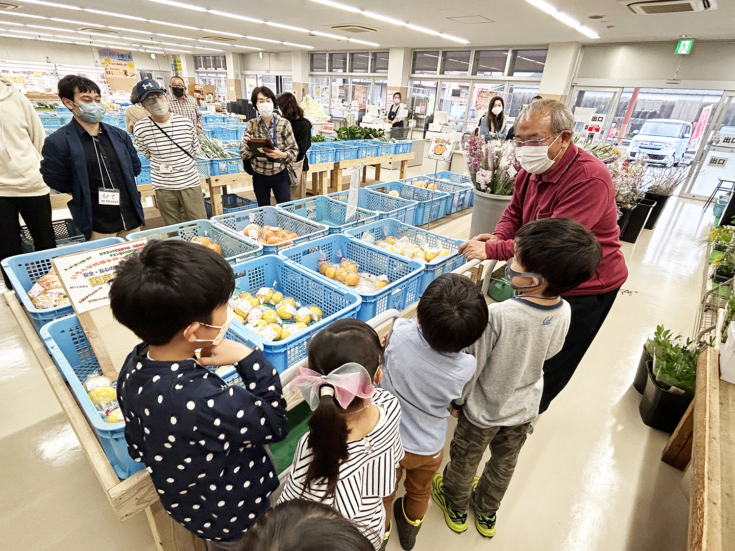 野菜について学ぶ