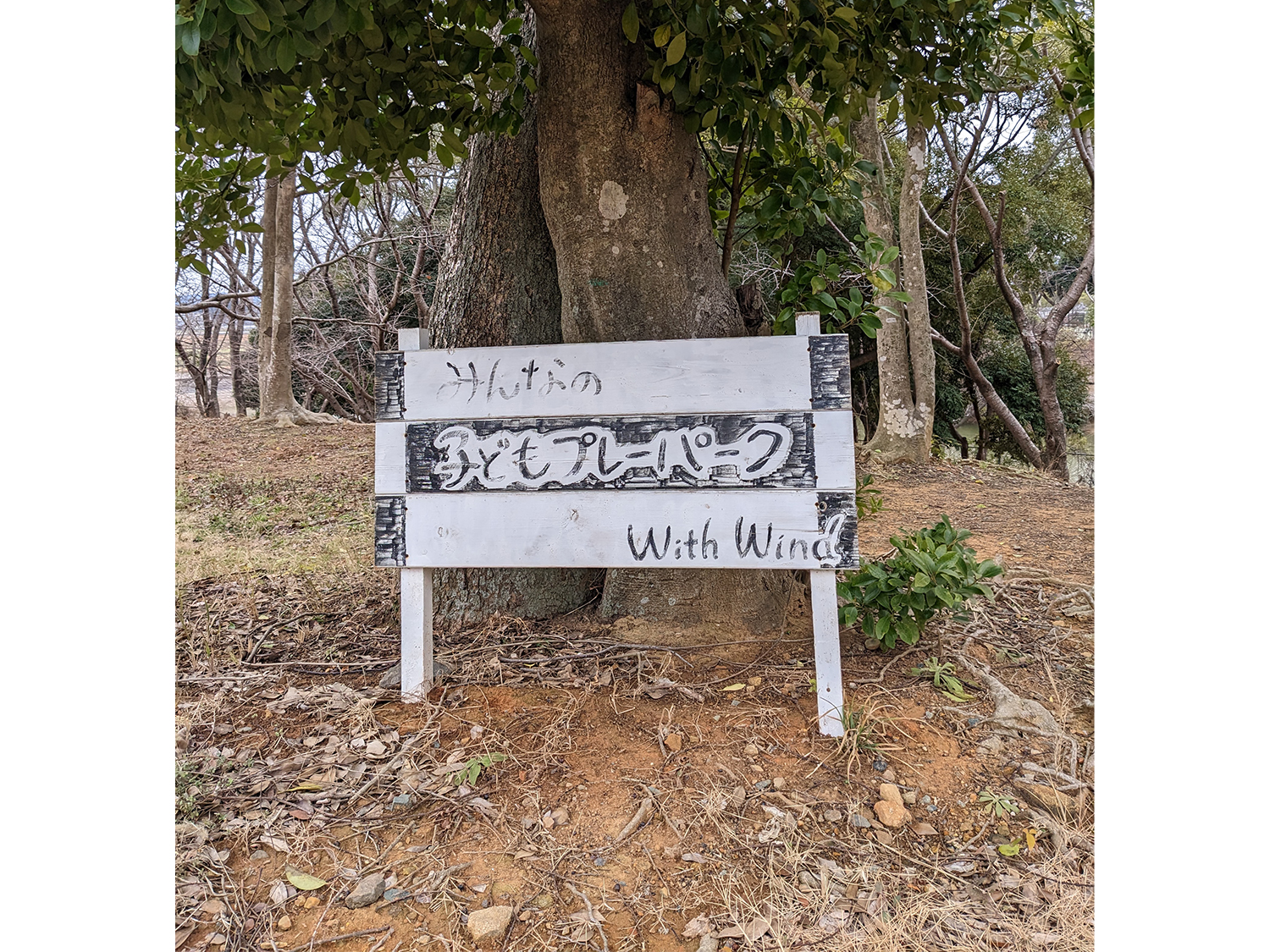 ひみつ基地のような雰囲気です