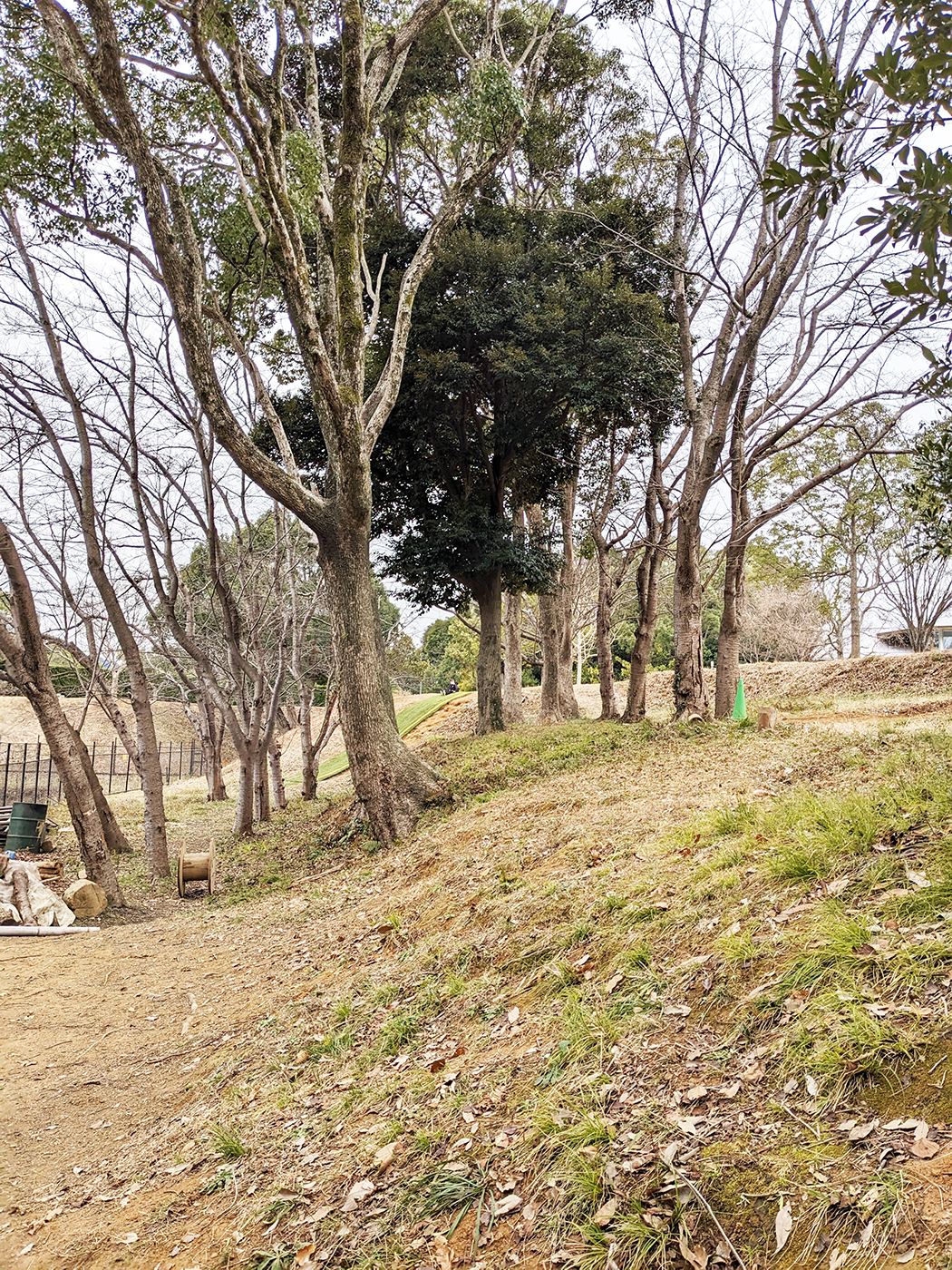 大きな木や傾斜があり、移動するだけでも良い運動になります