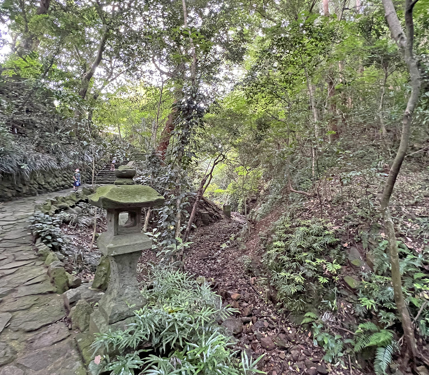 「天ノ真名井」の脇を流れる天の川！織女神社と牽牛神社の間にも流れています