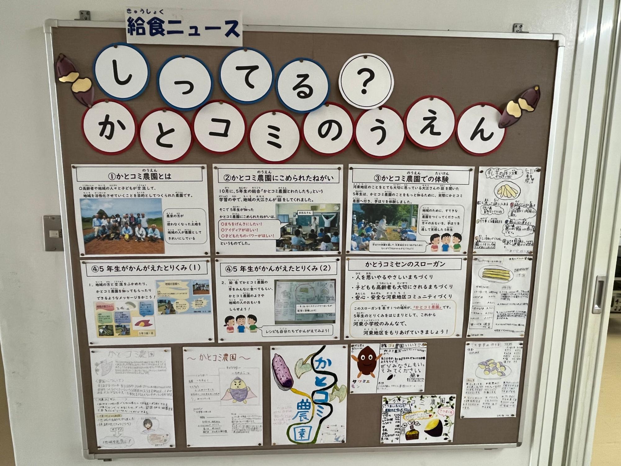 「かとコミ農園」では5年生がさつまいも栽培。彼ら考案の「さつまいもスティック」も好評でした