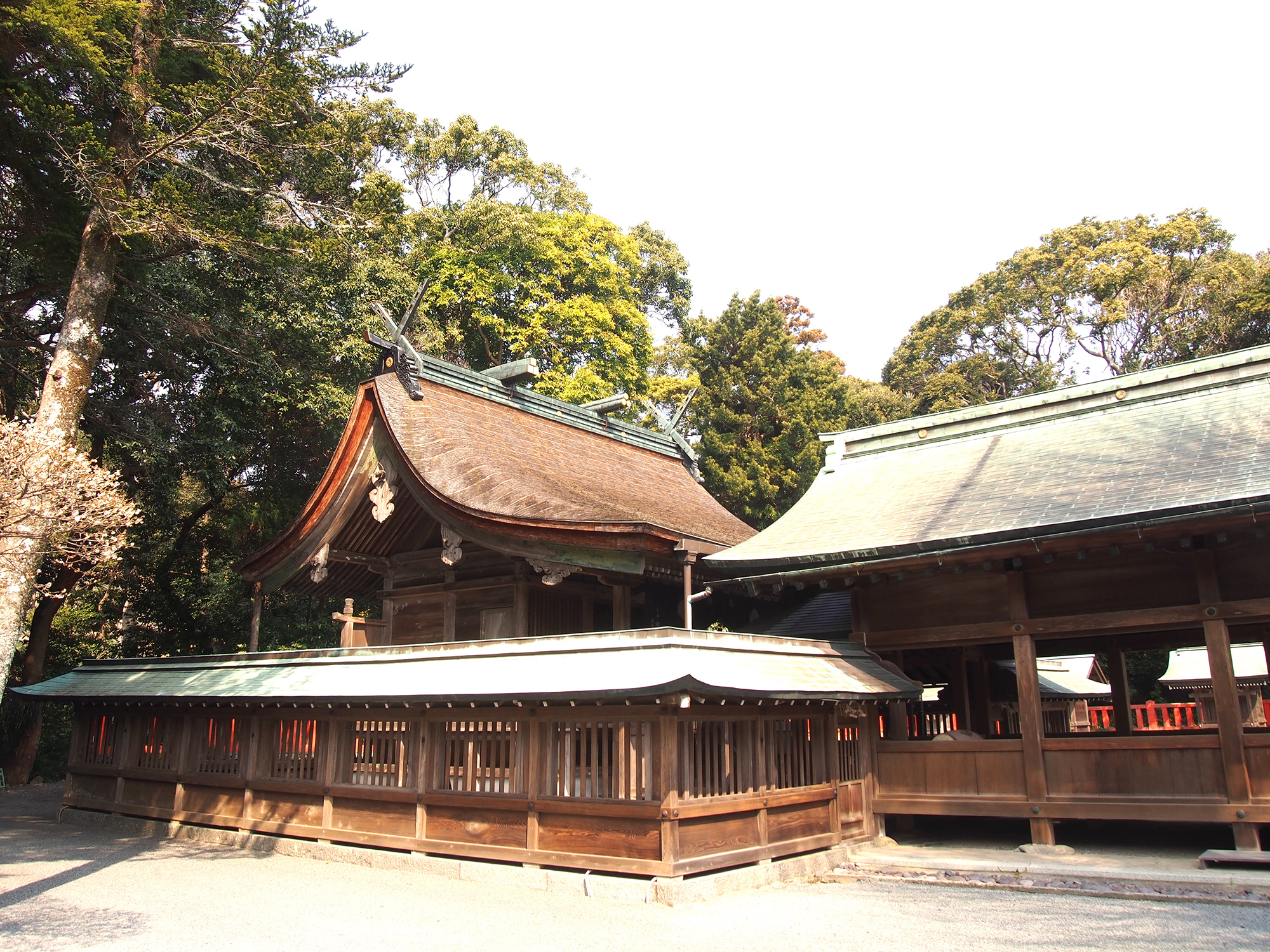 厳かな雰囲気の中津宮