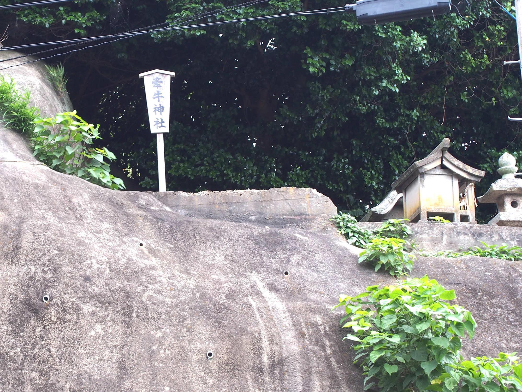 崖上の牽牛神社