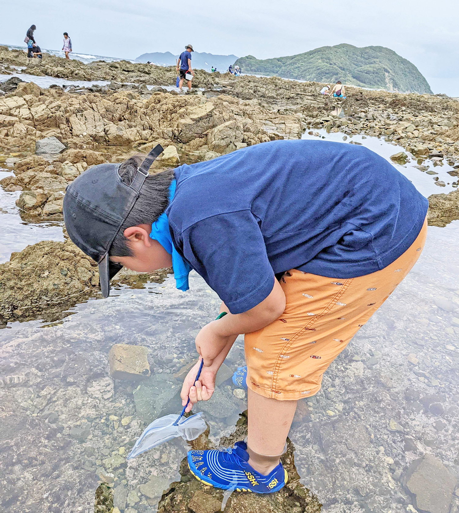 岩肌やくぼみ、潮だまりをじっくり観察