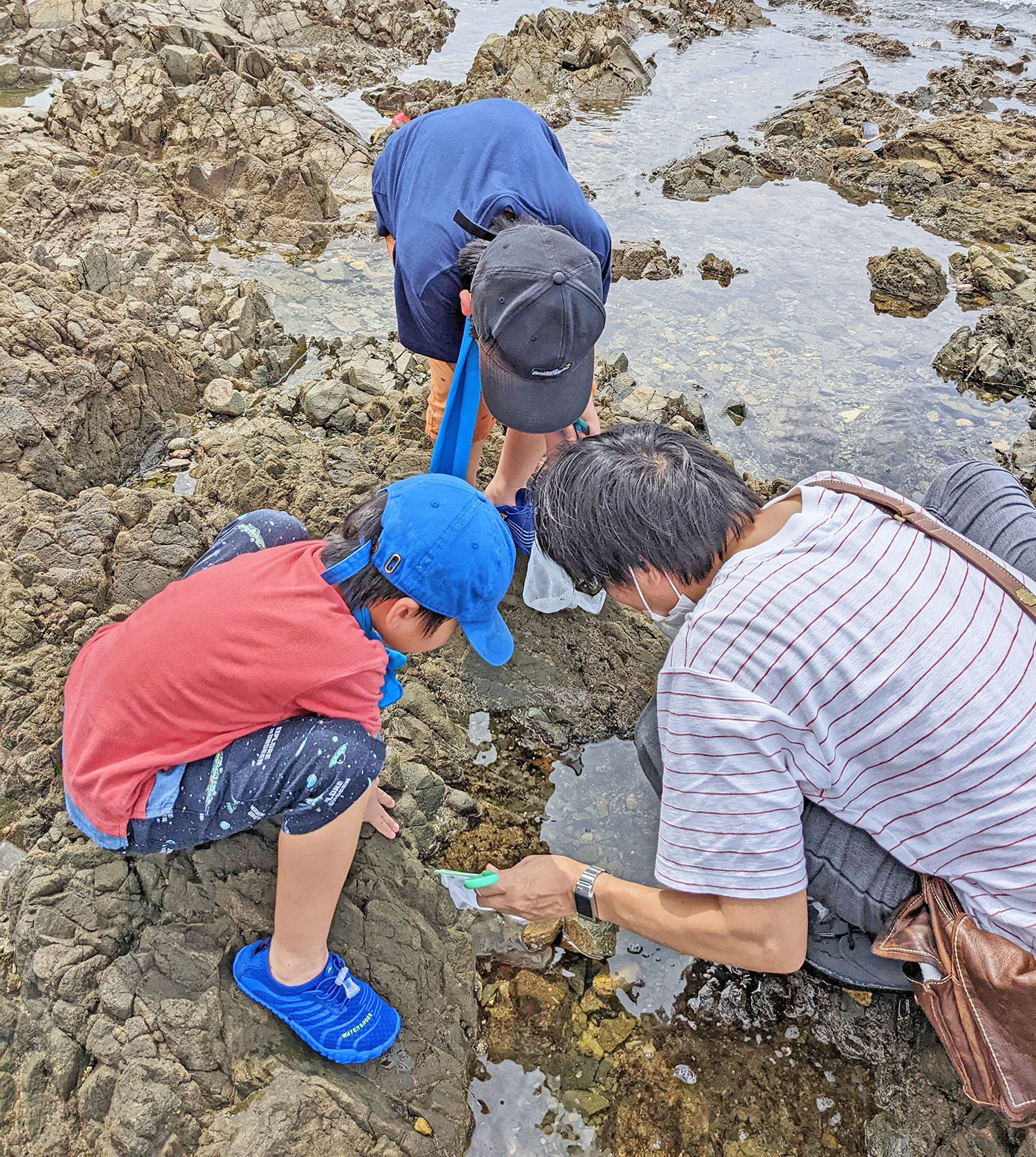 どんな生き物がいるのかな？