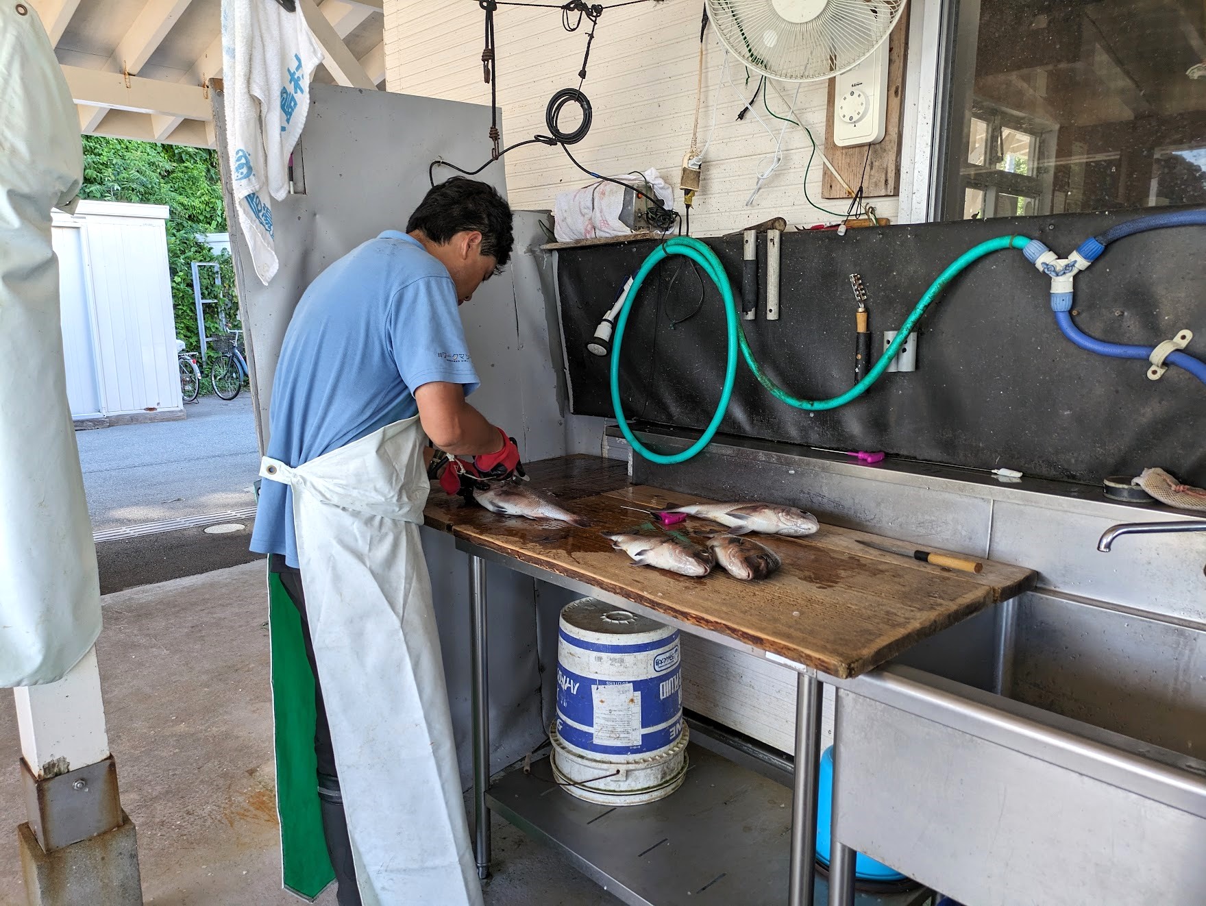 プラス料金で面倒なウロコ取りと内臓処理まで頼むことができますよ