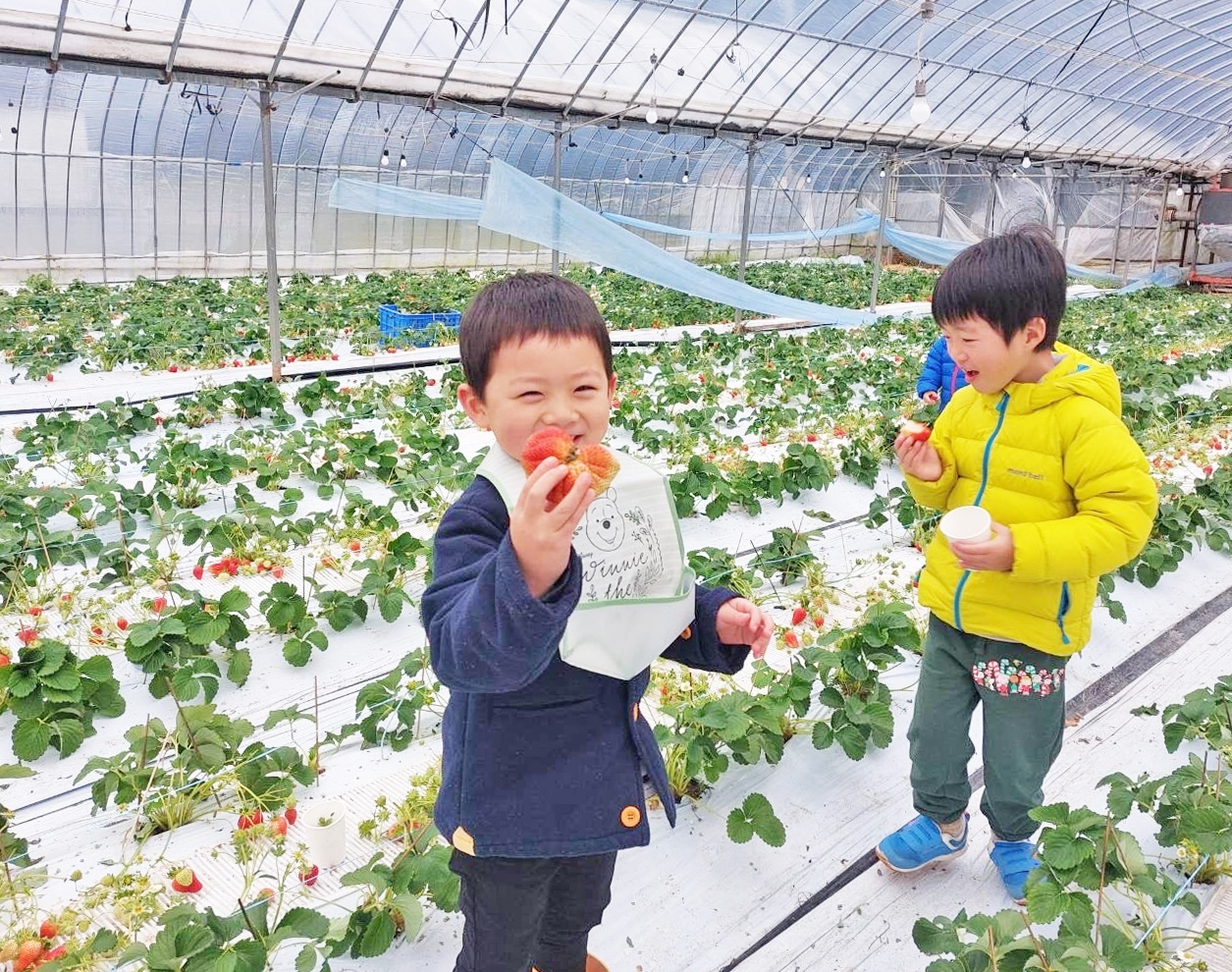 お友達と一緒にワイワイ。いろんな形にいろんな色があります