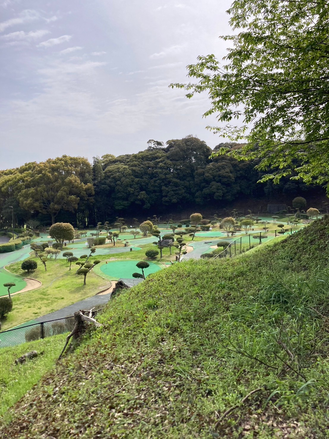 パットゴルフ場を見下ろしながら少し歩くと美しい竹林が見えてきました