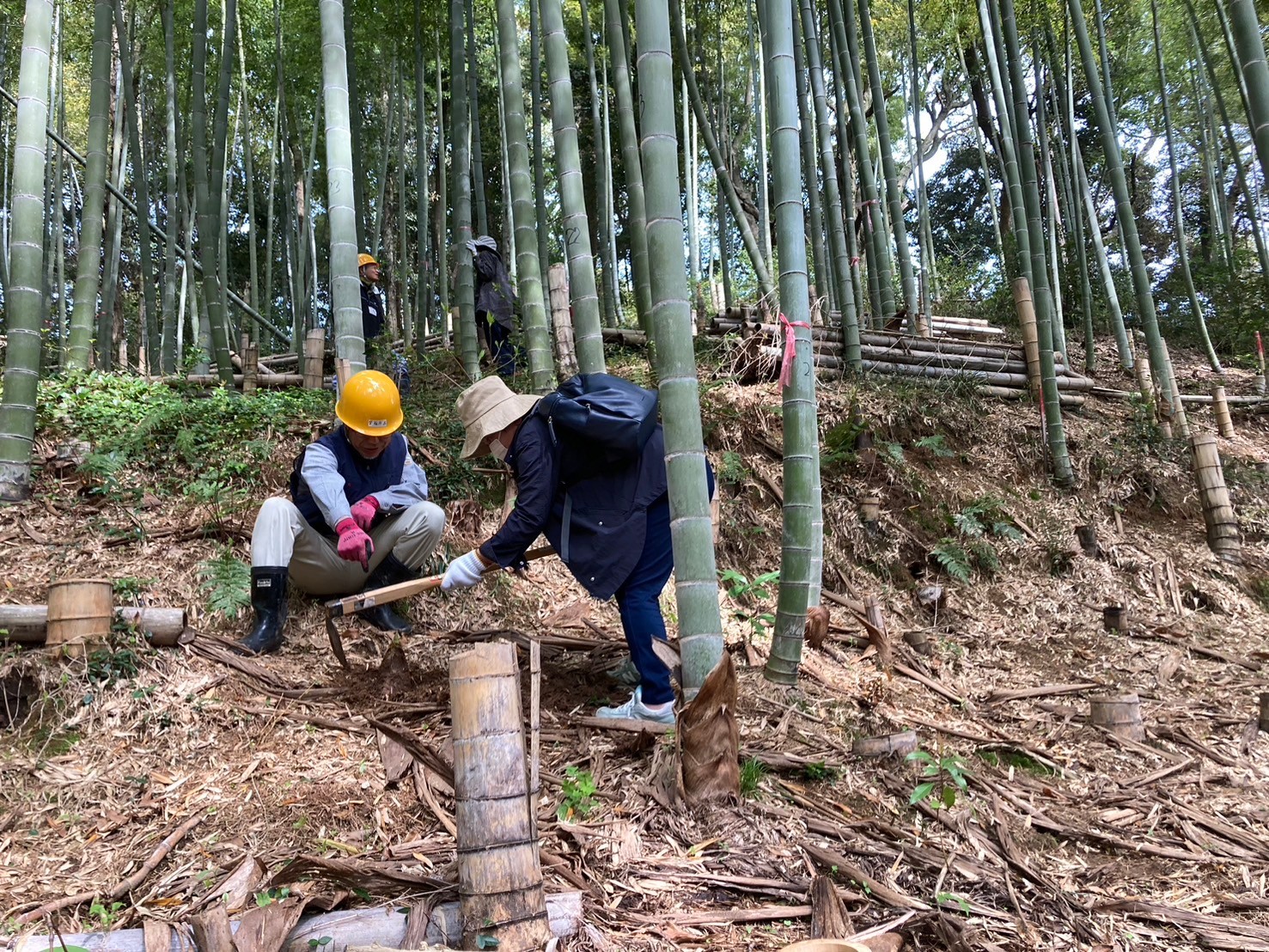 会員の方に丁寧に指導を受けながら掘ります