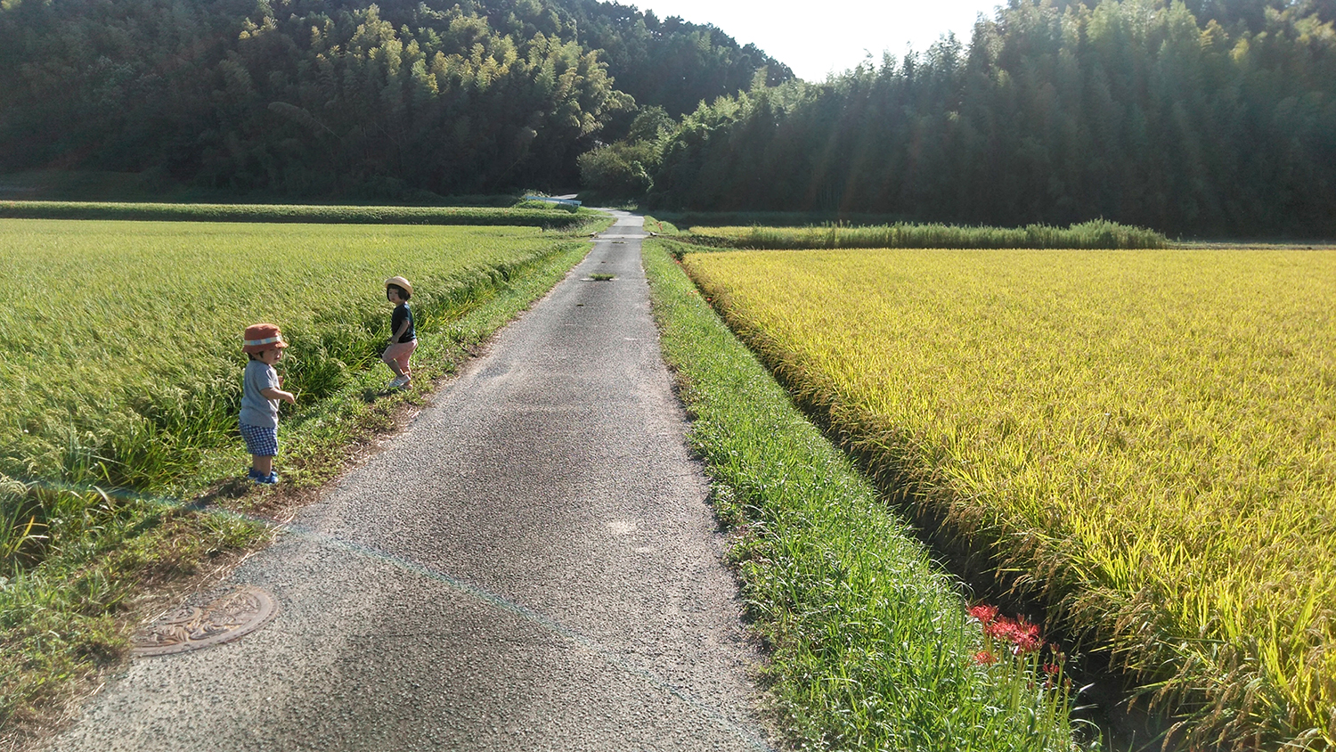 どの季節でも癒される田園風景