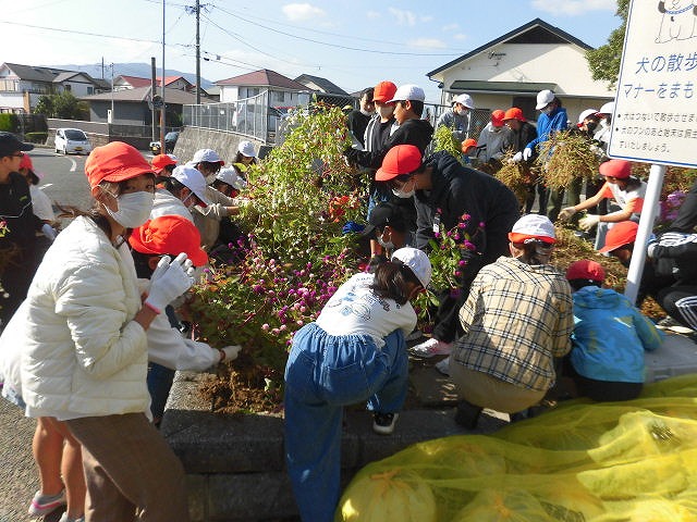 花の植え替え