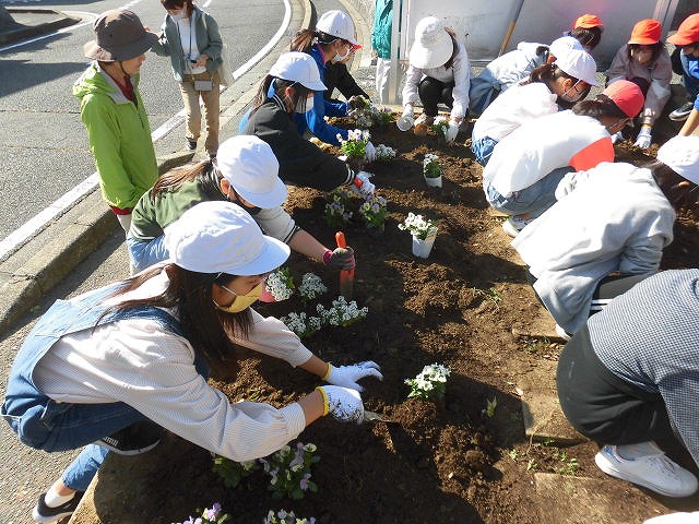 花の植え替え