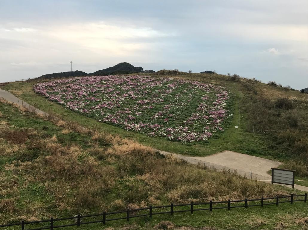 30風車公園1