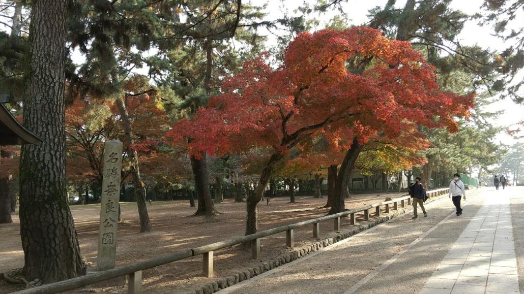 修学旅行1日目