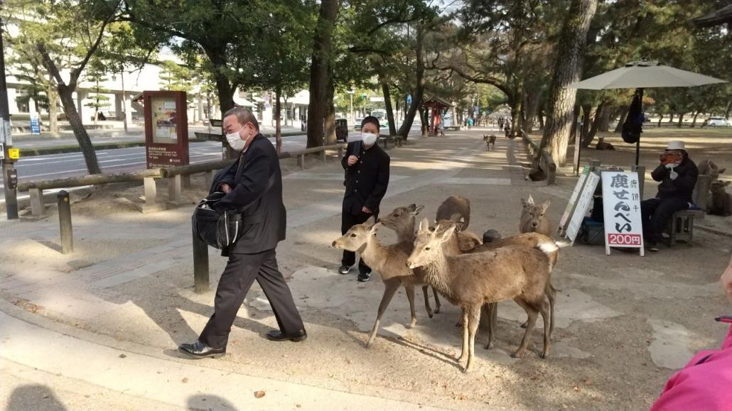 修学旅行1日目