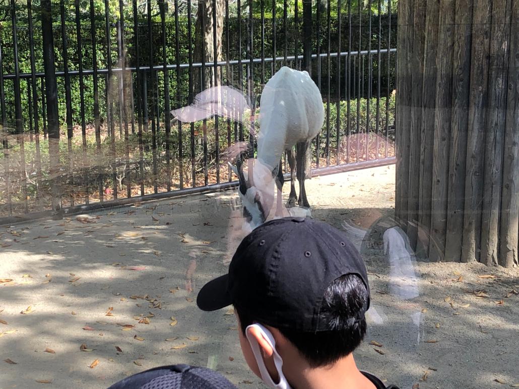 動物園