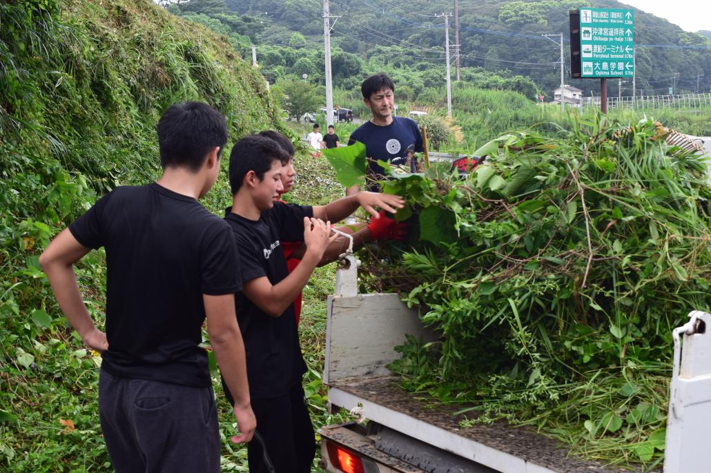 除草作業