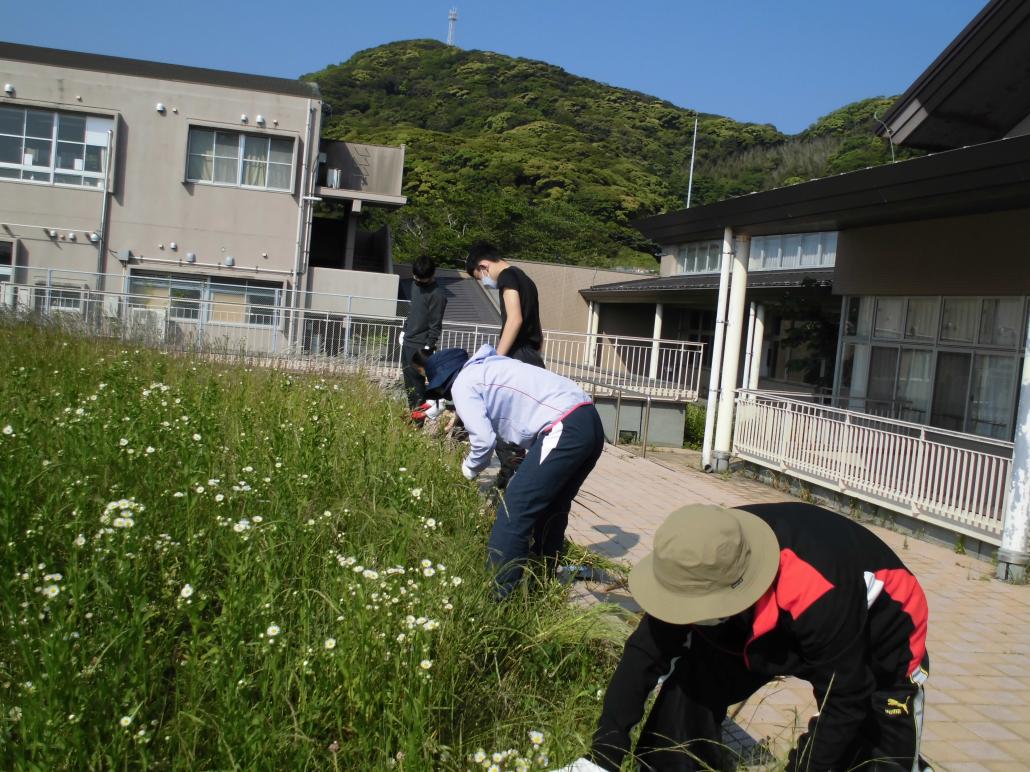 R4除草作業