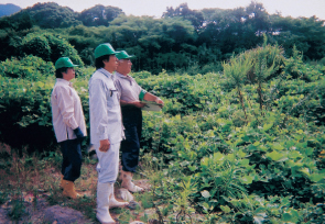 調査結果の判断は難しい