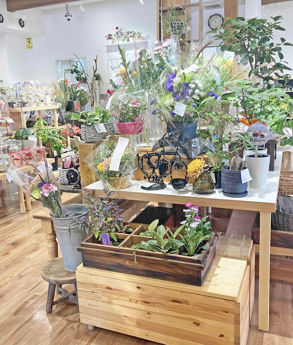 店内では色とりどりの植物などがお出迎え