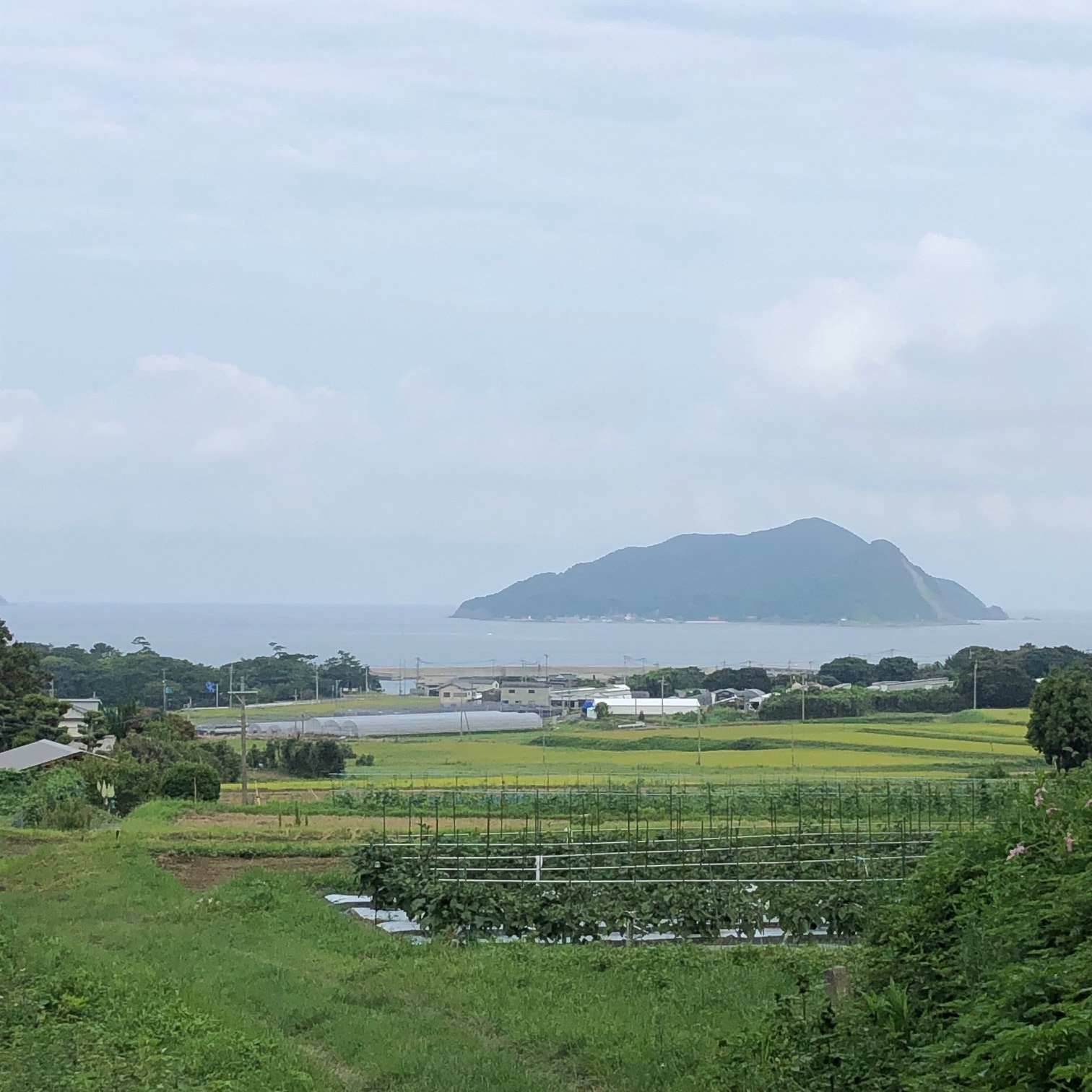 和田さん_風景