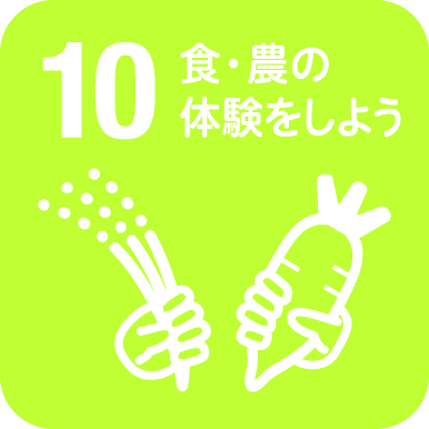 10体験