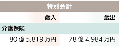 介護保険　決算表